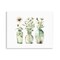 Stupell Industries Delicate Glass Vases Wall Plaque Art Design by Svetlana Aleynikova
